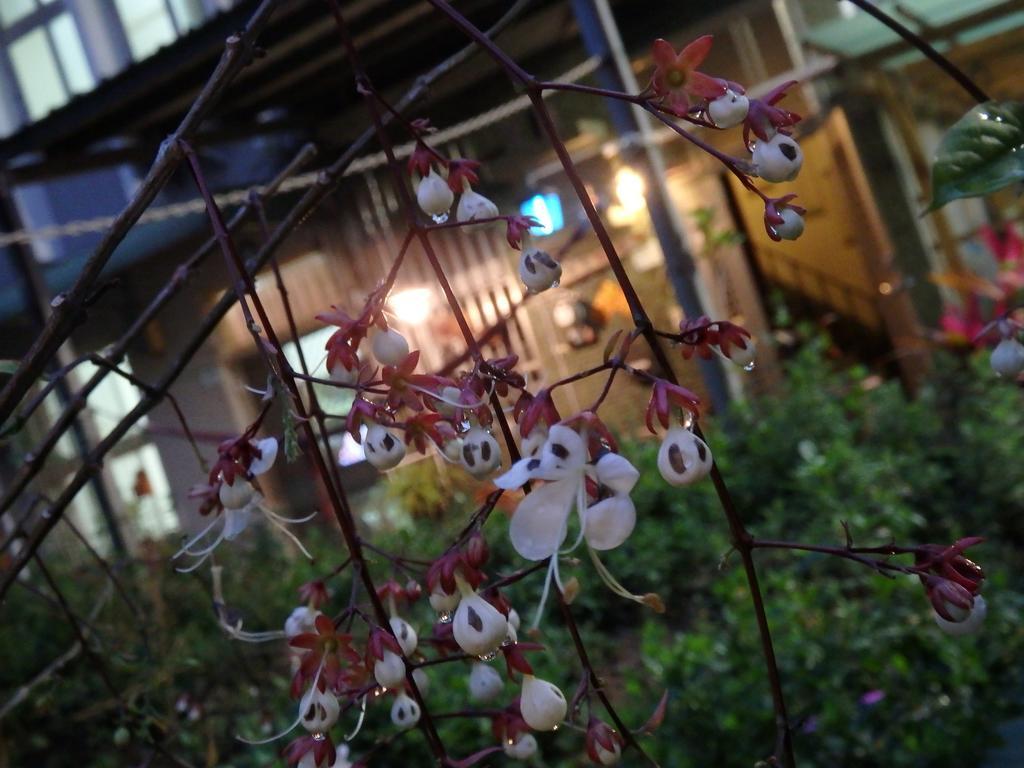 Tainan Guest House Hamuya Exterior foto